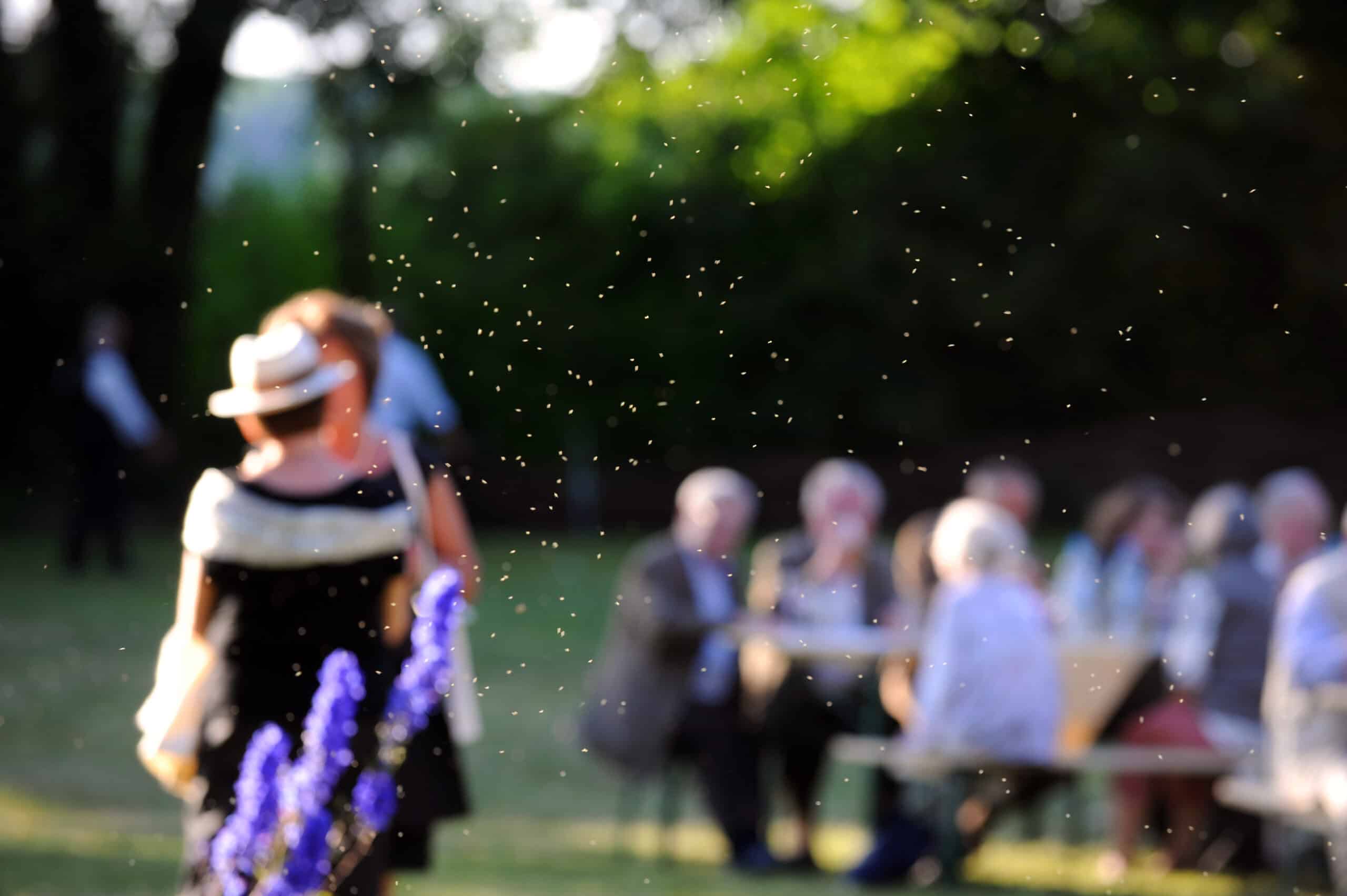 Gäste bei einem Sommerfest im Freien, mit einer Frau in einem schwarzen Kleid und einem Hut im Vordergrund.